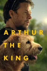 Arthur the king 2024 english - VEGAMovies, Vegamovies nl