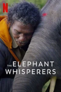 The elephant whisperers 2022 dual audio hindi english movie - VEGAMovies, Vegamovies nl