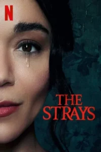 The strays 2023 movie - VEGAMovies, Vegamovies nl